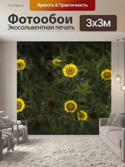 Фотообои Цветы