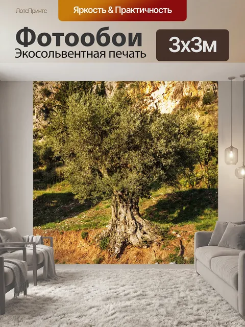 Фотообои Оливковый