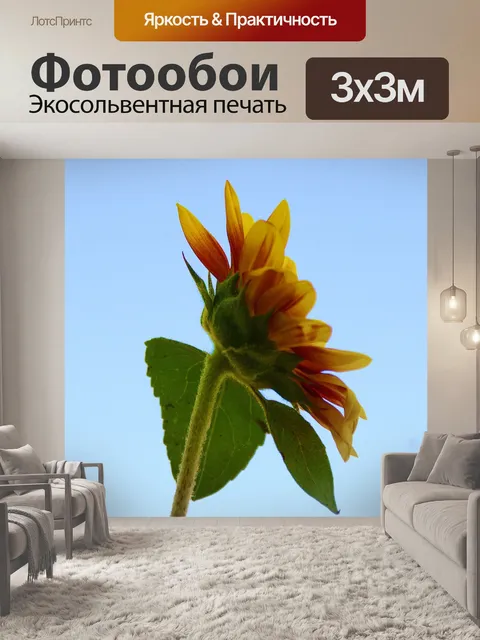 Фотообои Подсолнечник против голубого неба