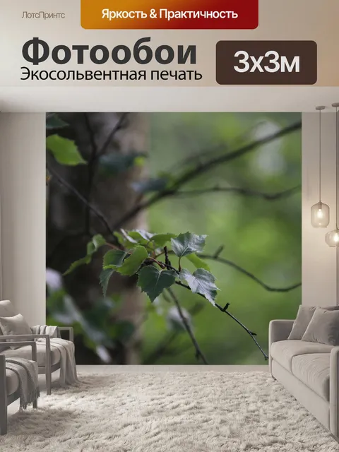 Фотообои Лист