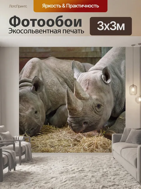 Фотообои Африка
