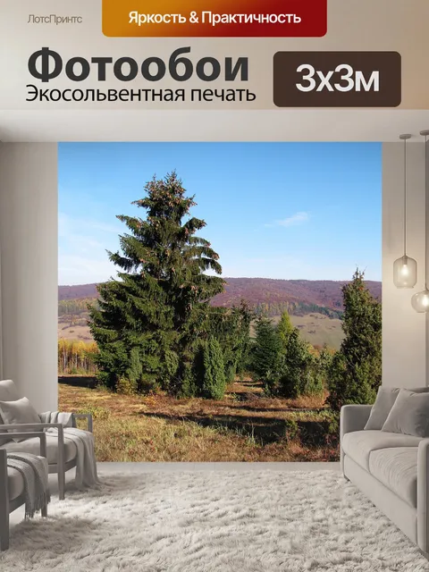 Фотообои Лес