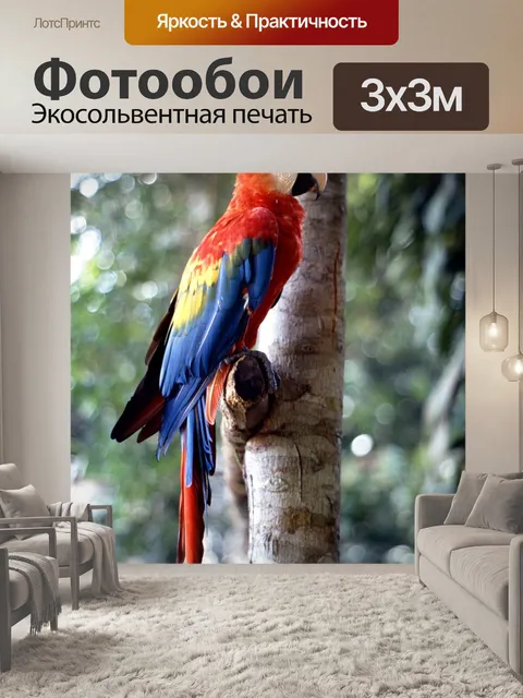 Фотообои Эра
