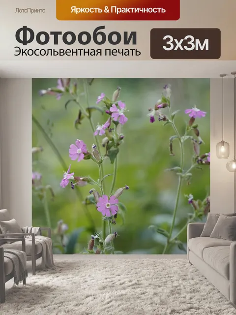 Фотообои Полевой цветок