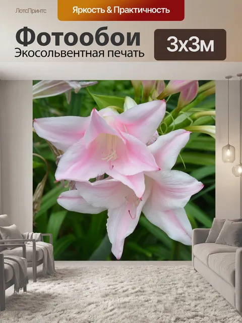 Фотообои Лили