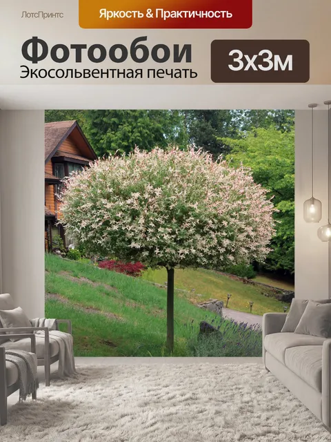 Фотообои красивое дерево