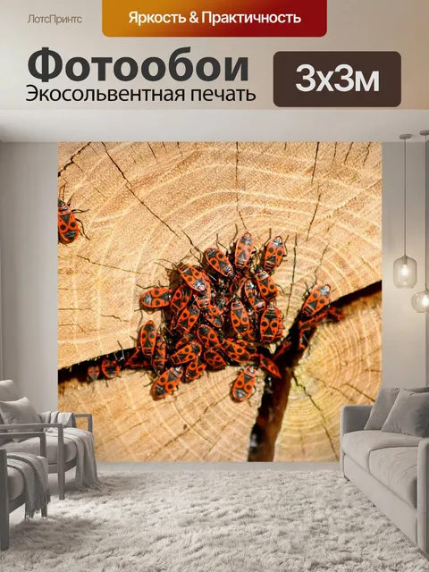 Фотообои Поджигатели