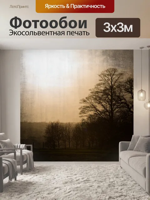 Фотообои Деревья без листьев