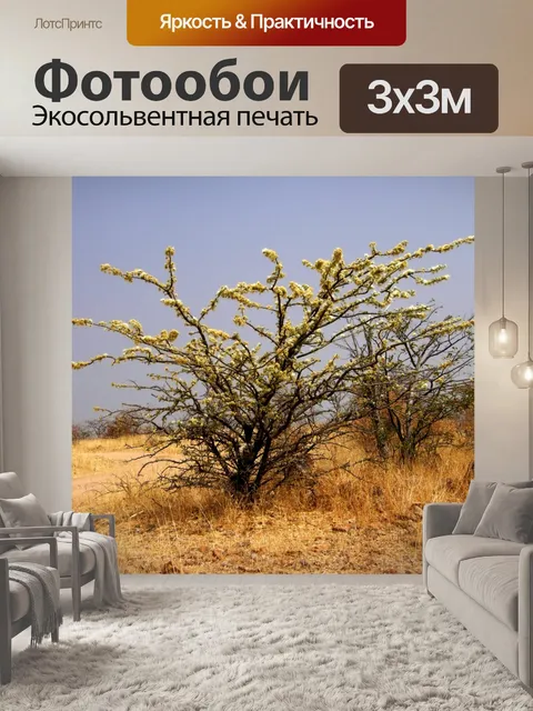 Фотообои Цветущий куст в пустыне
