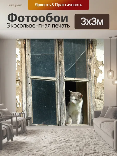Фотообои Кошка