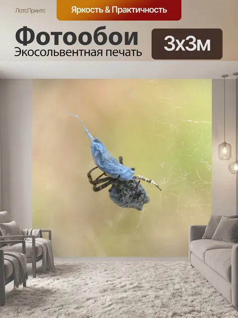 Фотообои Паук