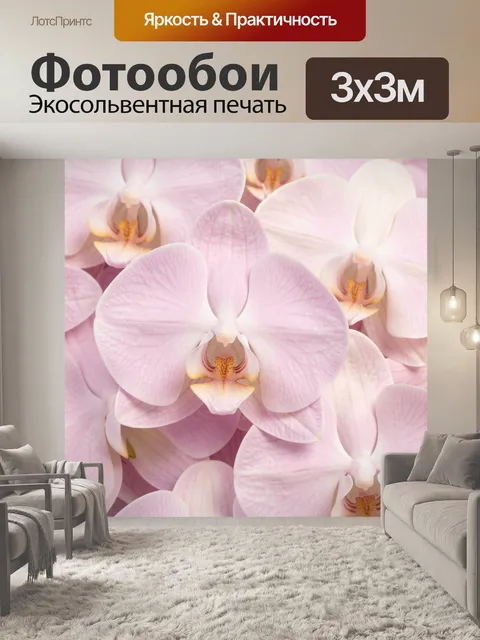Фотообои Нежные розовые орхидеи