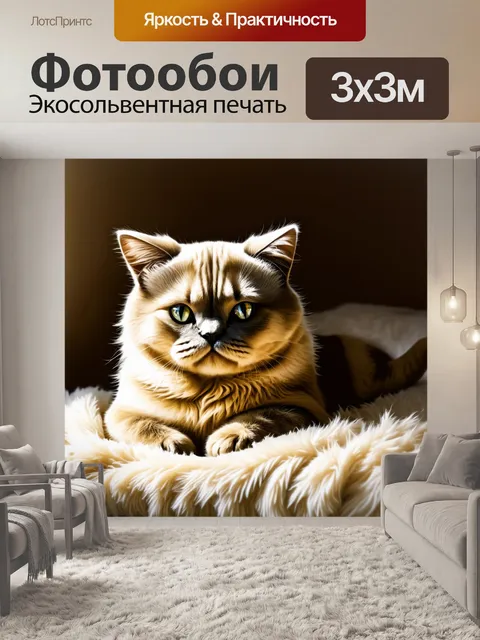 Фотообои промт: "ослепительная шотландская вислоухая кошка лежит на мягком одеяле в полумраке комнаты