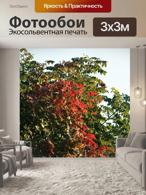Фотообои Мыс ясень