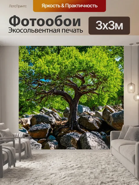 Фотообои дерево, растущее среди скал
