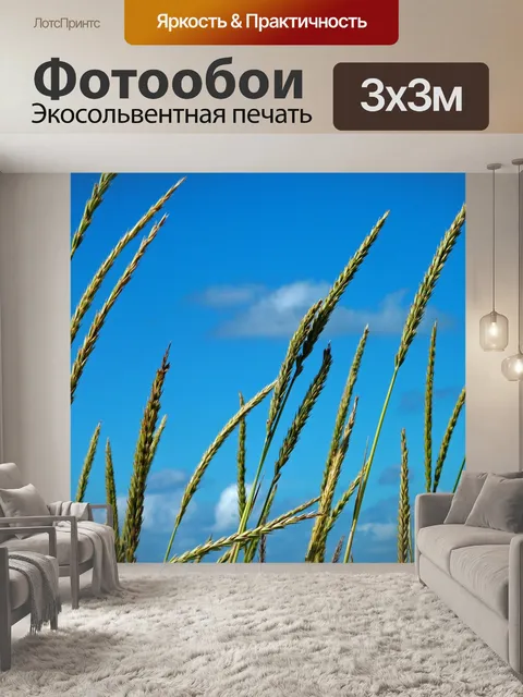 Фотообои Дюнная трава