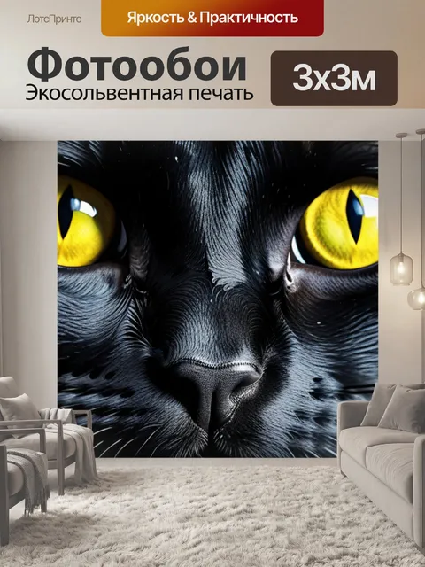 Фотообои с черным котом смешной