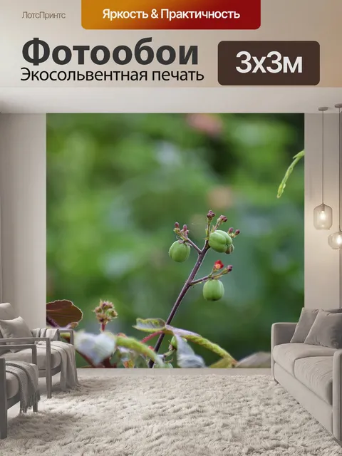Фотообои Природа