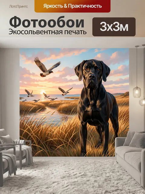 Фотообои Черный дог у вечернего озера
