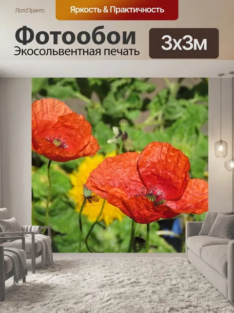 Фотообои Маки