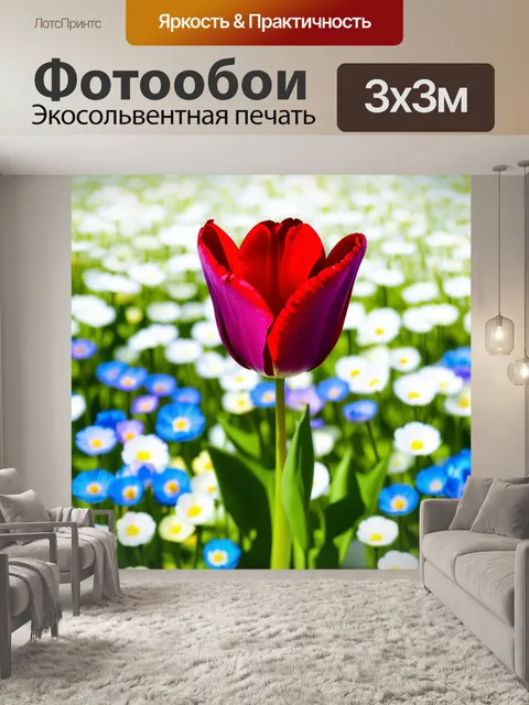 Фотообои красный тюльпан на фоне белых и голубых цветов, создающий яркий контраст и ощущение весны