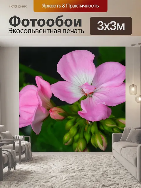Фотообои Герань