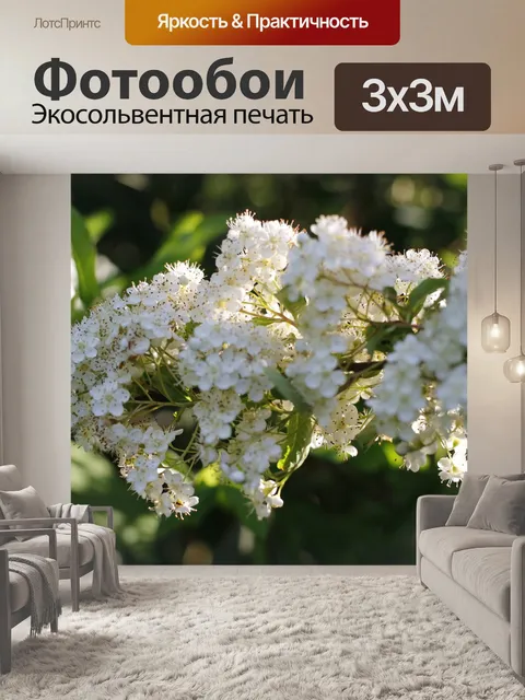Фотообои Весна