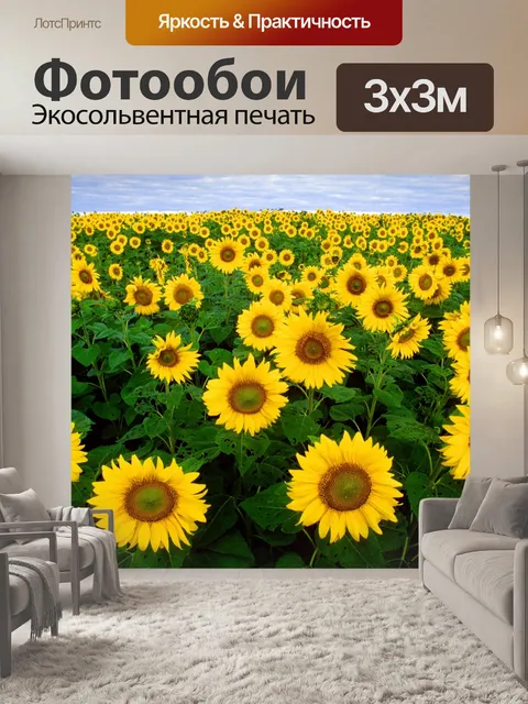 Фотообои Подсолнухи