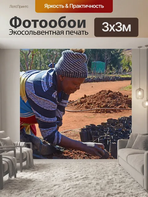 Фотообои Лесото