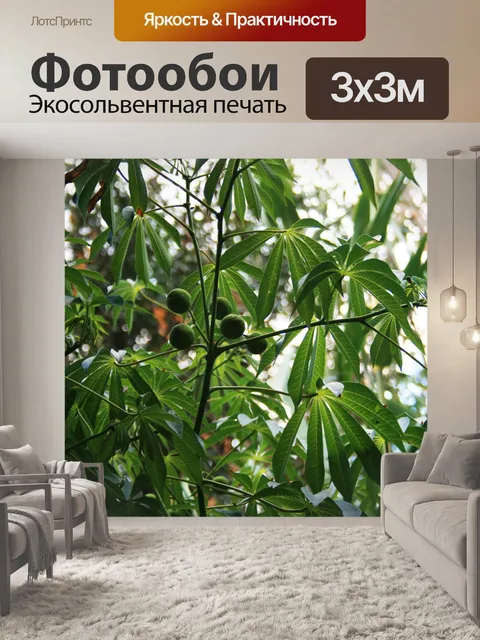 Фотообои декоративные папайя дерево