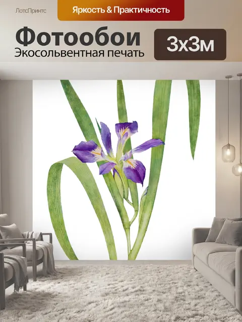 Фотообои Винтажный клипарт цветок ириса