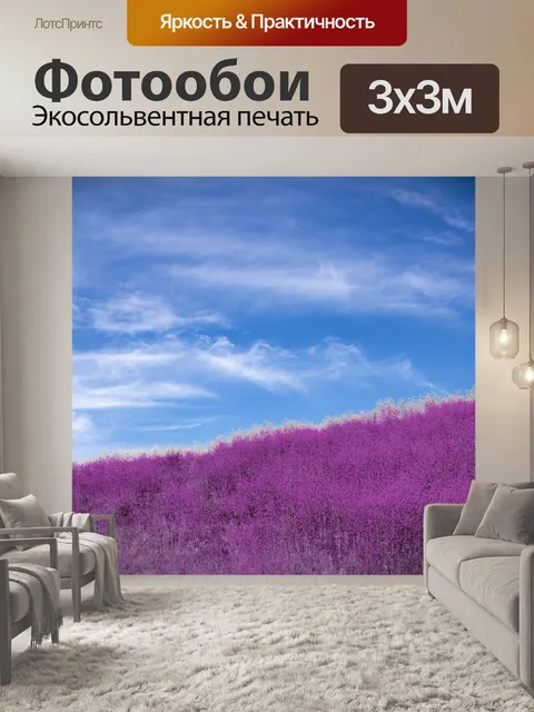 Фотообои Фиолетовые полевые цветы