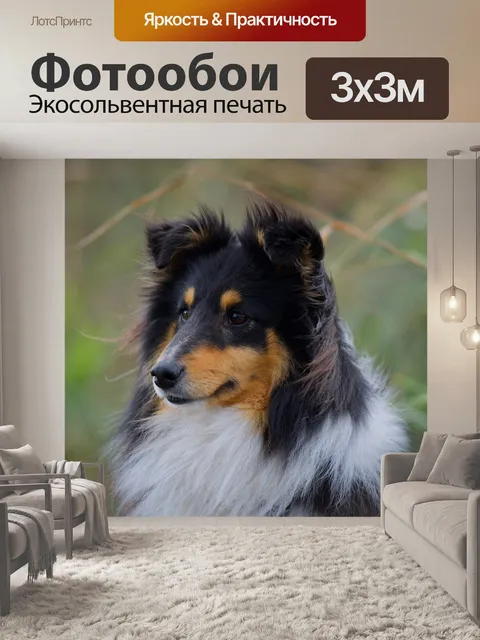 Фотообои Шелти