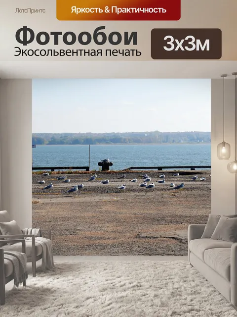 Фотообои Чайки