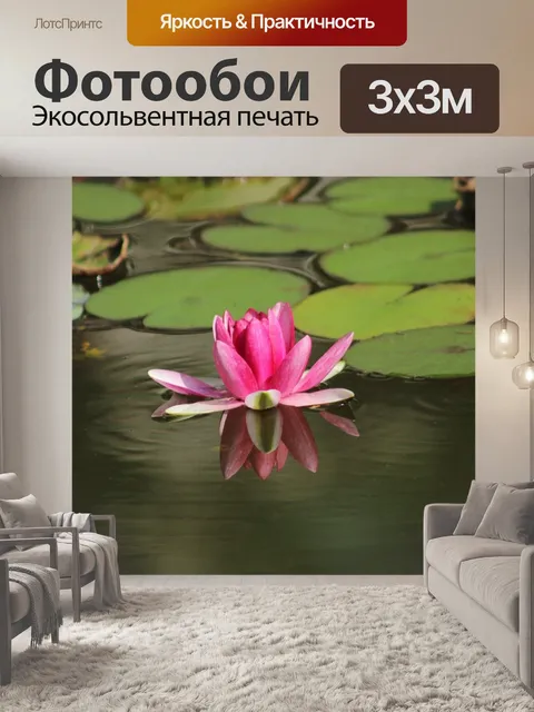 Фотообои Водяная лилия