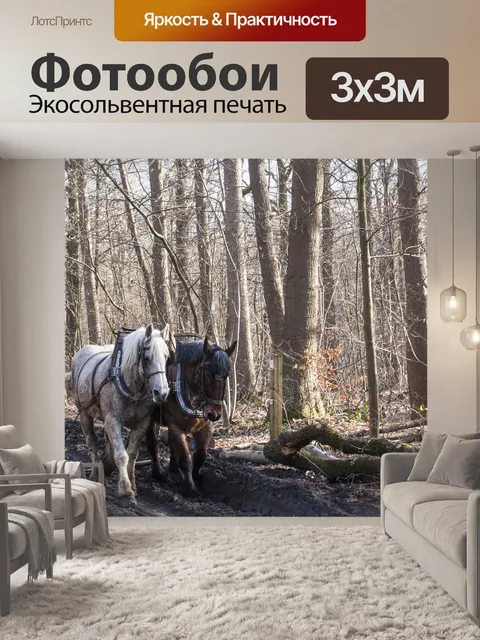 Фотообои Природа