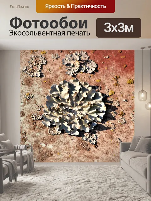 Фотообои Серебряные лишайники на ржавом металле