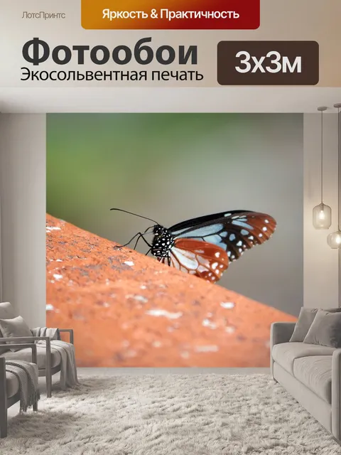 Фотообои Небольшой