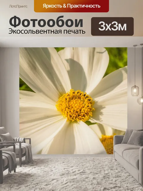 Фотообои Цветочные изображения фона