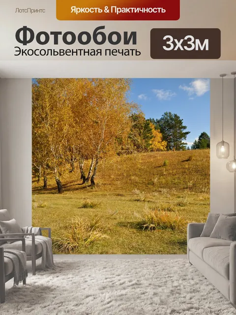 Фотообои Осенний лес