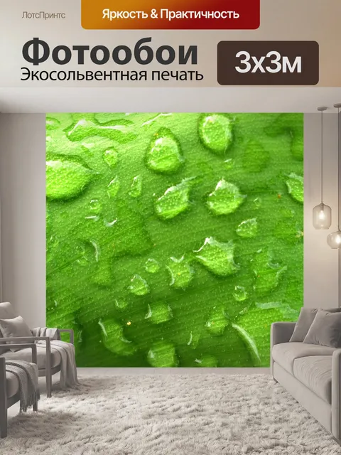 Фотообои Капля воды на листе