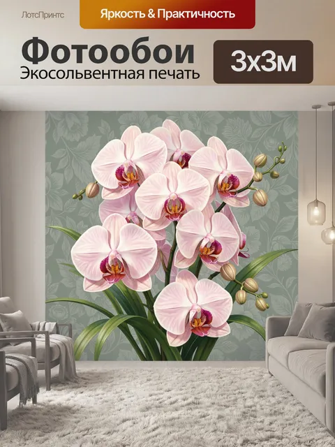 Фотообои Нежные орхидеи на сером фоне