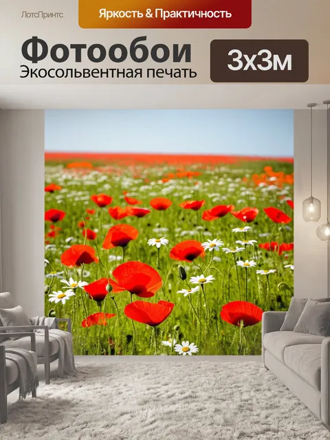 Фотообои поле, где растут яркие красные маки и белые ромашки, создавая очаровательный контраст