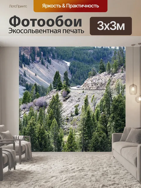 Фотообои Йеллоустонское шоссе