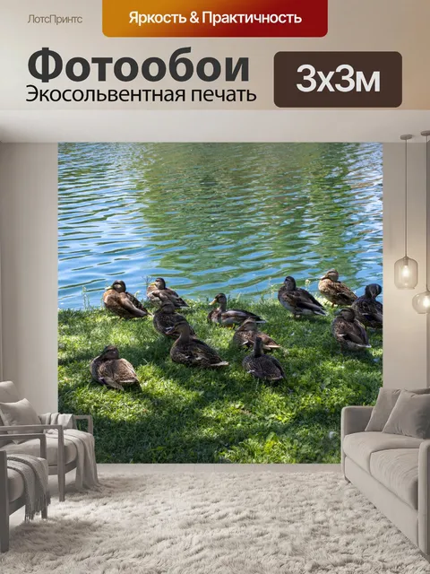 Фотообои Кряквы