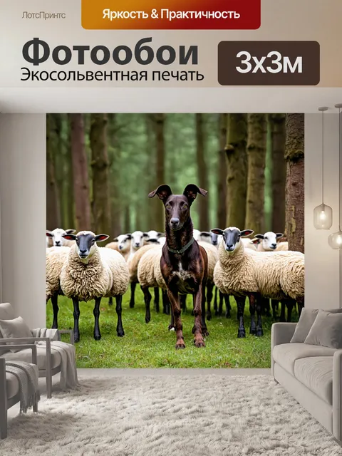 Фотообои овчарка в лесу, охраняющая стадо овец, с ярко выраженной мускулатурой и внимательным взглядом