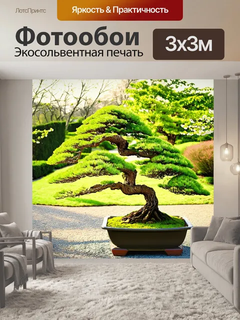 Фотообои в глубине зеленого парка, освещённого мягким светом заката, множество прекрасных бонсай, ухоженных с любовью