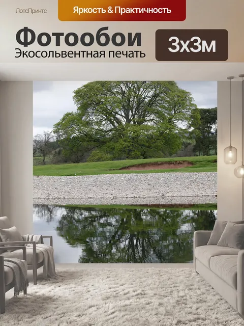 Фотообои Дерево и Отражение