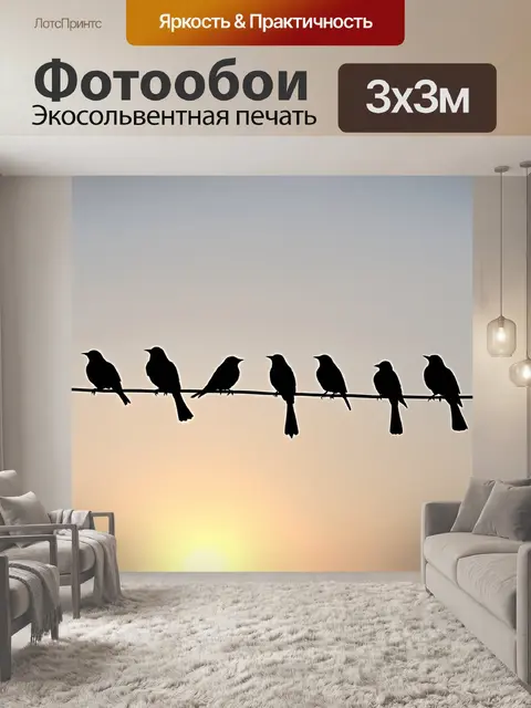 Фотообои несколько птичек, сидящих на проводах в вечернем свете