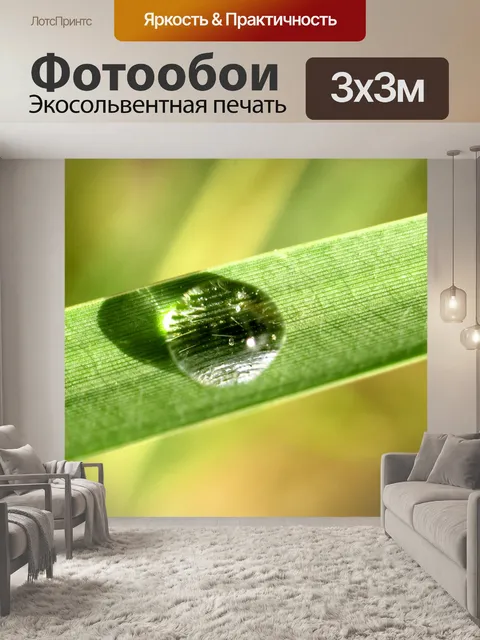 Фотообои Капля воды на листе
